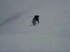 Petit 180 reverse true tail