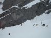 tree jib - 270 out - candide thovex