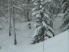 Ste Foy en tarentaise Grosse Poudre