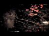 Isenseven - teaser de janvier