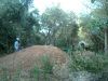 Jey Marechal back flip