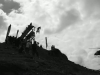 Chatel Mountain Style 2010 