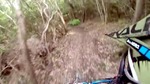 Vidéo