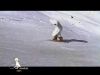 le Y&eacute;ti de mountain riders