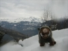 Jamie Boar