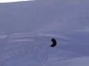  premier front flip