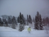 dream of powder