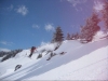 session primtani&egrave;re