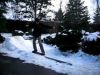 snowskate