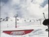 Zoo Ski