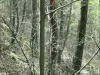 la shappe vtt