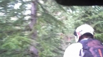 Vidéo