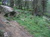 Week end aux orres