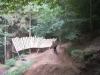 [RideFever] Session rod&eacute;o &agrave; l'Illegal Trail