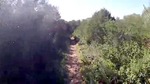Vidéo