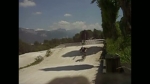 Vidéo