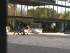riding wedd...>