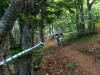 dh rousset 2008