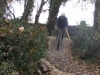 Latresne on Web