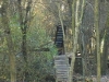The mud shore 3