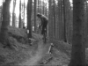 Freeride