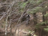Chris's Ride !!!