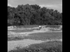 Vtt au burk