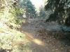 Croc rider commencal