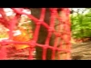 Saison 2008 - janvier->juin