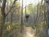 HRT Games (Vtt Freeride Concours)