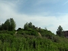 roseraie