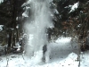 Nico et l'arbre