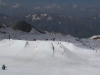 Nico cork 9 nose