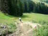 D'artagnan &agrave; la clusaz
