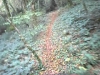Petite descente a Arbois