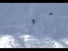 Triple backflip