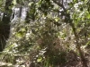 petite session dirt