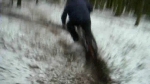 Vidéo