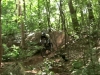 une journ&eacute;e a Champles (Belgique)