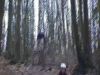 Dh Cormeilles