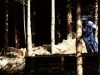 Ae forest