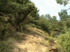 session freeride a mors