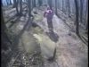 single track en alsace
