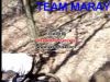 team marayte