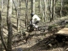 Team Horsbikers Vac Printemps 2008