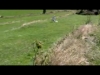 Horsbikers Team : Del Pinot s'amuse ...
