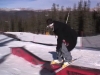 Keystone Early Season