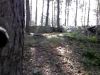 Gamelle VTT