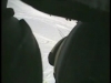 7 Laux 22-03-08