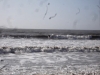 http://www.allosurf.net/profil.php?id=7015